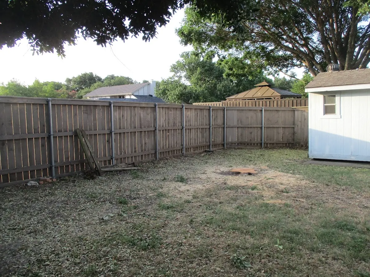 Cleared yard after professional tree removal in Brant